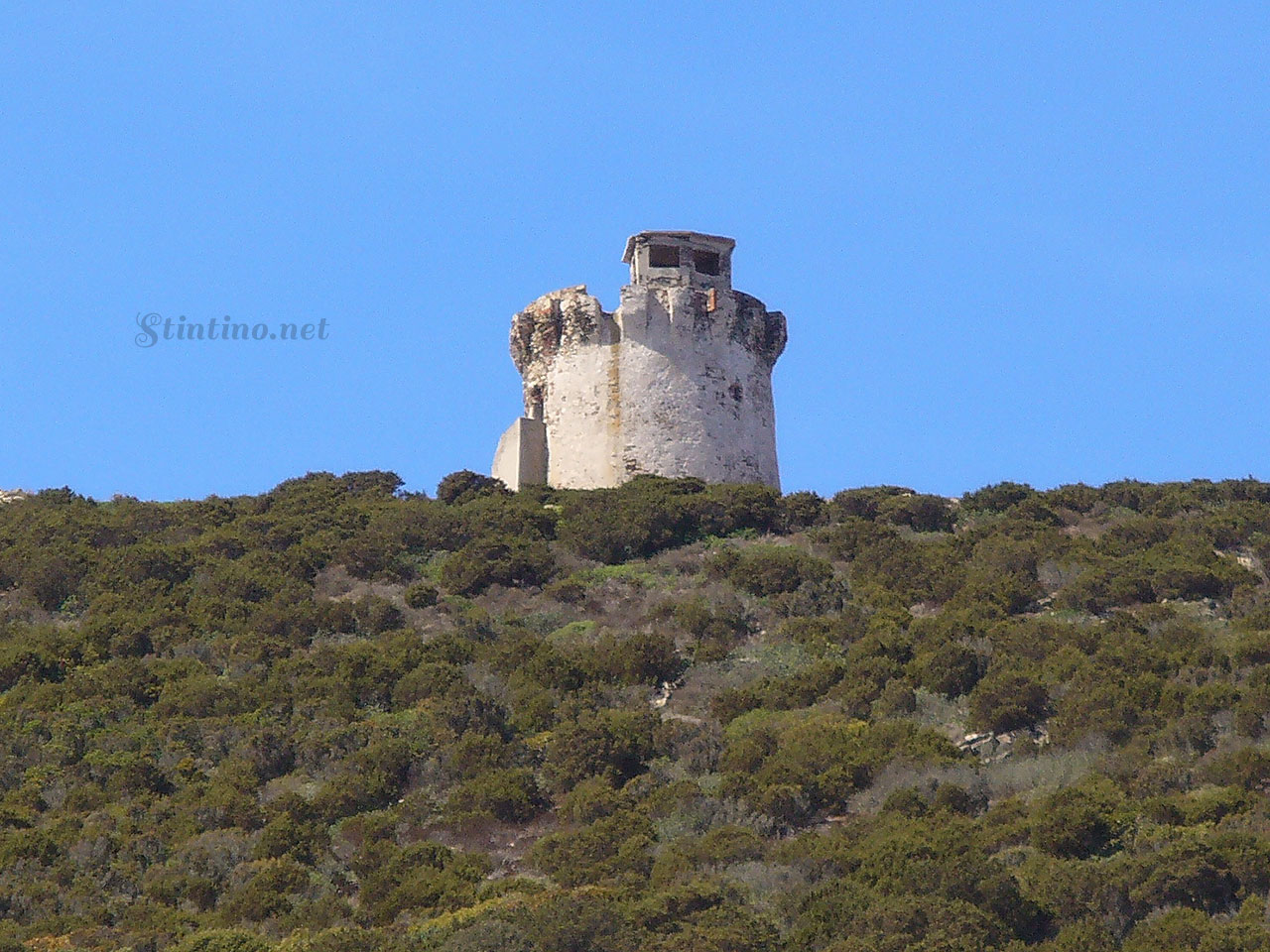 La torre di Capo Falcone